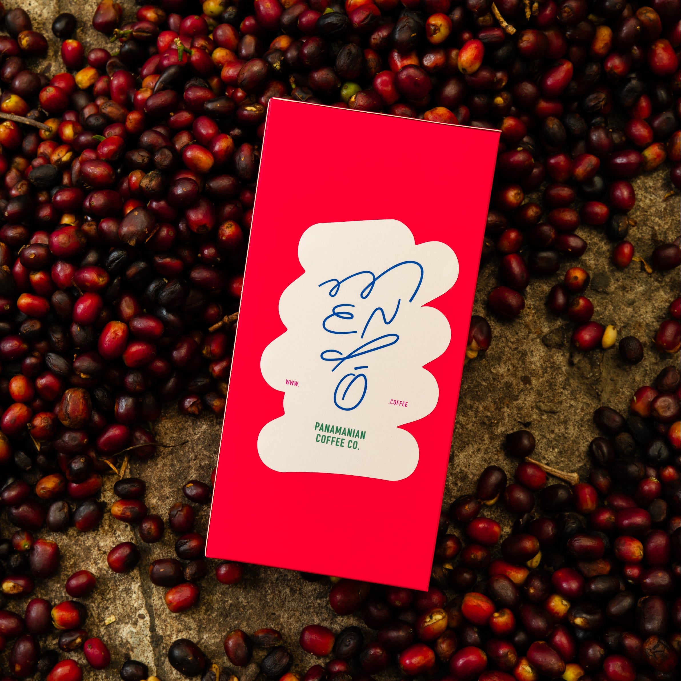 Caja roja de Mendó sobre cerezas de café recién cosechadas