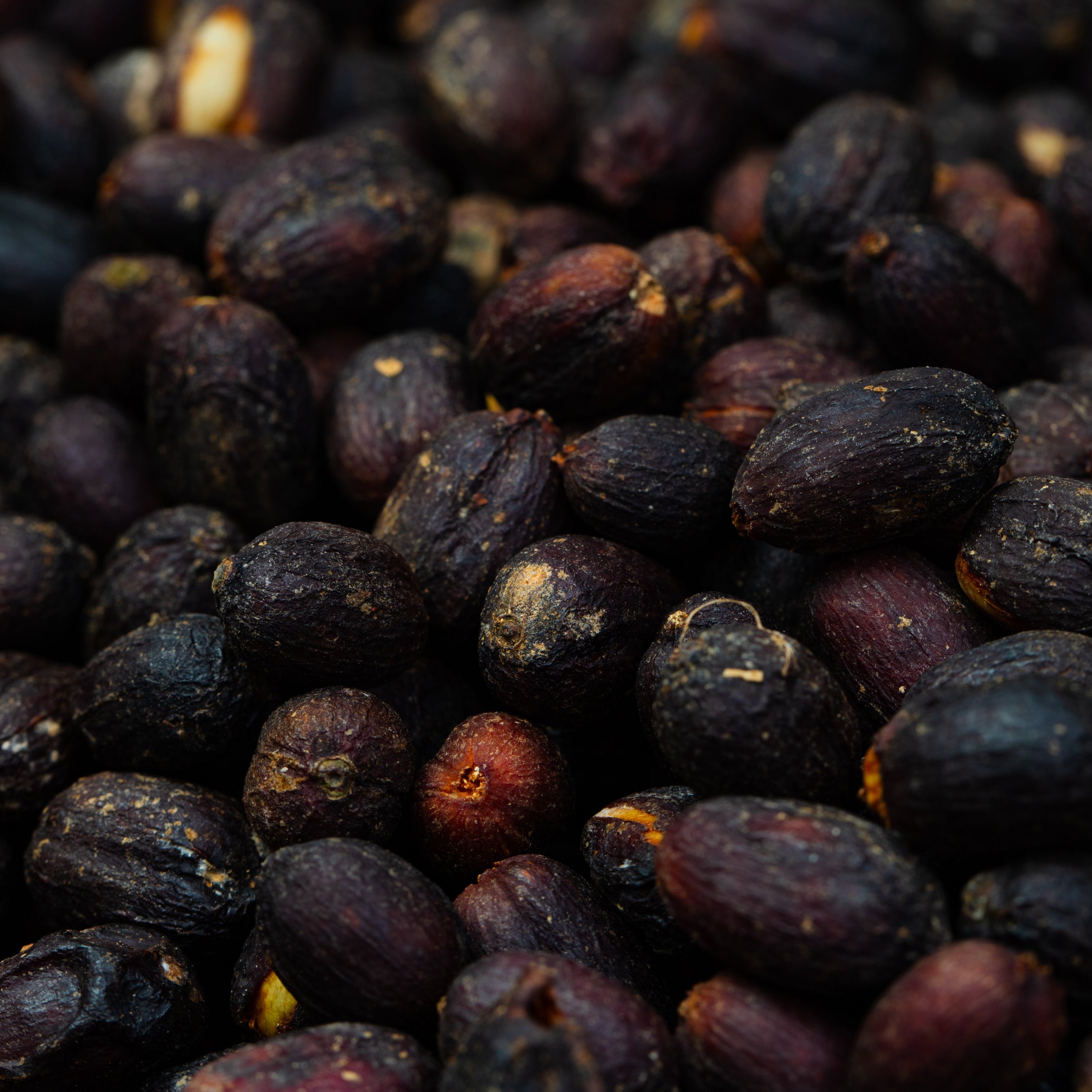 Cerezas de café secándose enteras: así se ve un proceso natural
